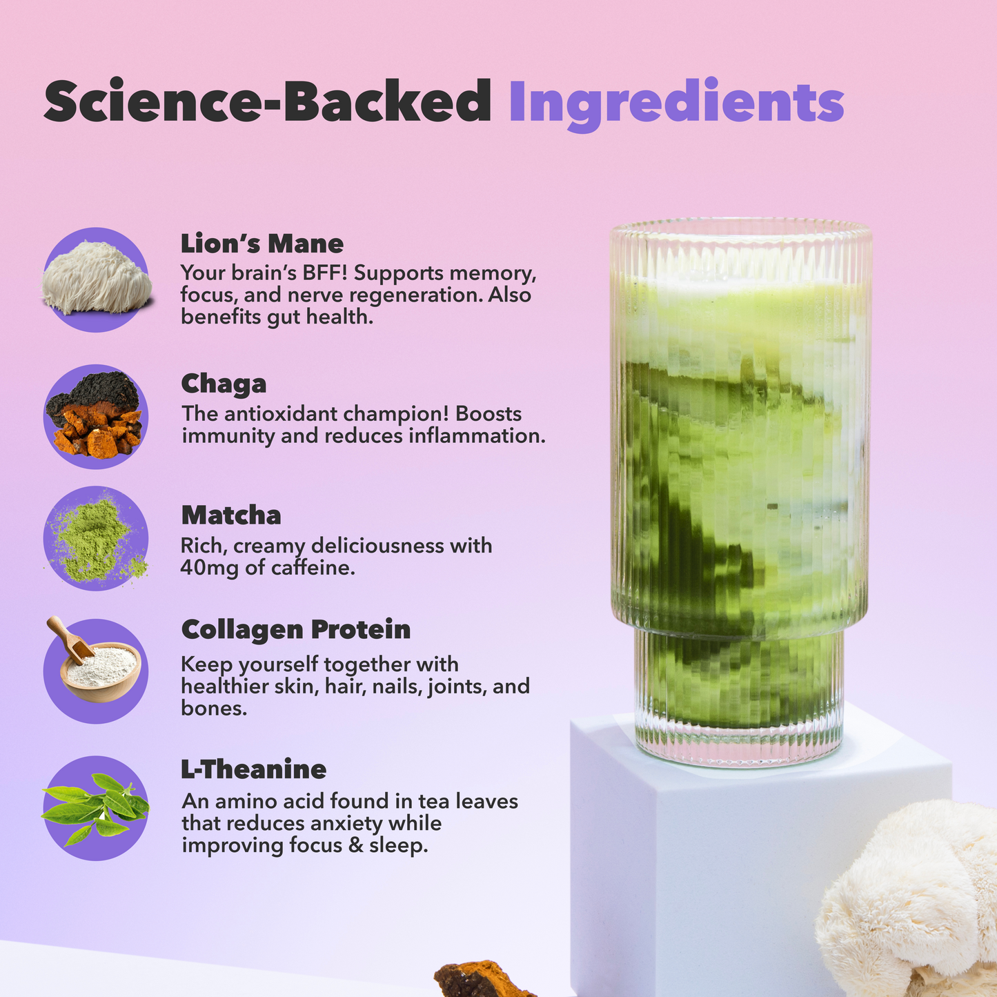 30-servings-mushroom-matcha-g0 custom_resized_386f63f8-0691-449c-9e51-462fed6c0033.png